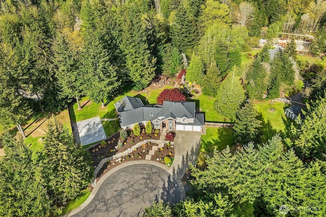 43936 SE 127th Pl, North Bend, WA 98045 - bird's eye view of a heavily wooded area
