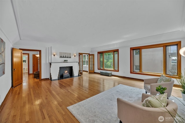 519 W Roy St Unit 211, Seattle, WA 98119 - living area with radiator heating unit, light wood finished floors, and a fireplace with flush hearth