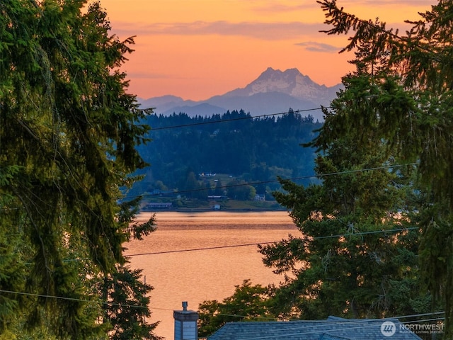 17008 Peterson Way NE, Poulsbo, WA 98370 - photo 4