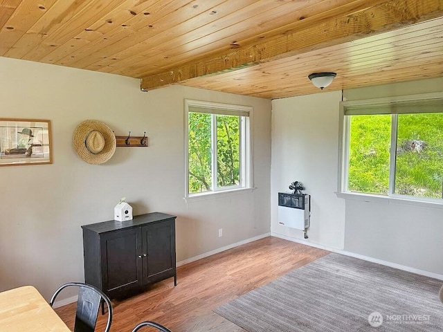 6 Lone Pine Trl, Riverside, WA 98849 - sitting room with wood finished floors, heating unit, and wooden ceiling