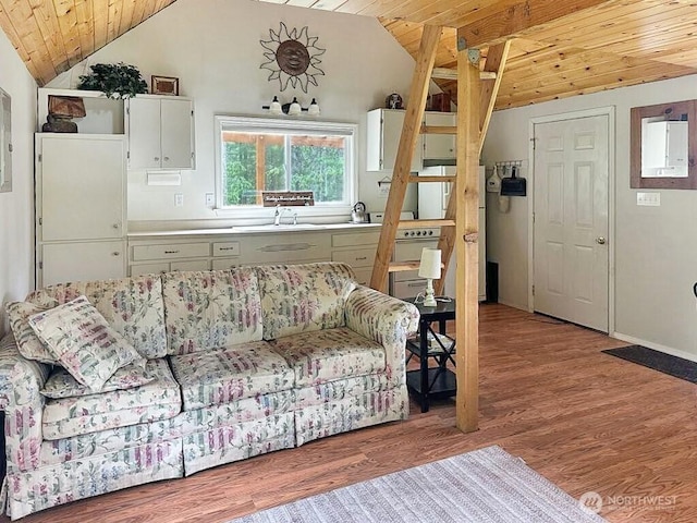 6 Lone Pine Trl, Riverside, WA 98849 - living area with lofted ceiling, wood ceiling, light wood-style floors, and electric panel