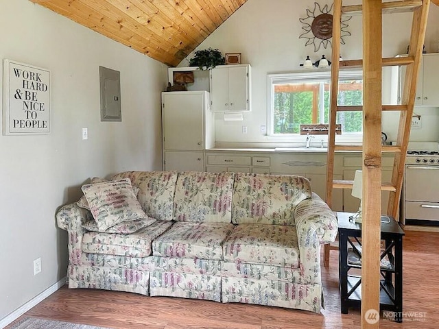 6 Lone Pine Trl, Riverside, WA 98849 - living room featuring electric panel, vaulted ceiling, wood finished floors, and wooden ceiling