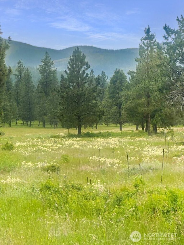 6 Lone Pine Trl, Riverside, WA 98849 - mountain view featuring rural landscape