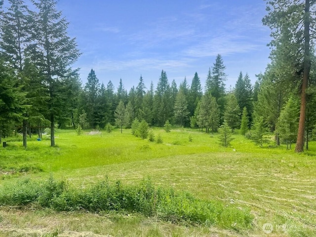 6 Lone Pine Trl, Riverside, WA 98849 - view of tree filled area