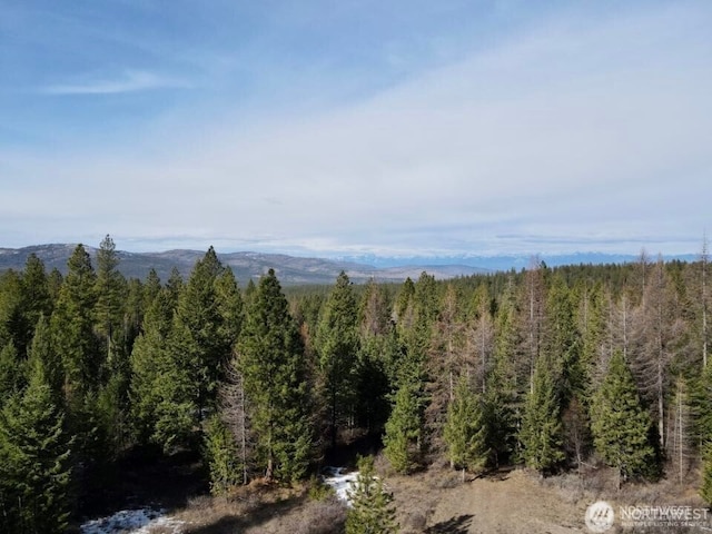 6 Lone Pine Trl, Riverside, WA 98849 - mountain view with a heavily wooded area
