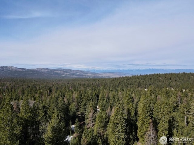 6 Lone Pine Trl, Riverside, WA 98849 - view of mountain background featuring a forest