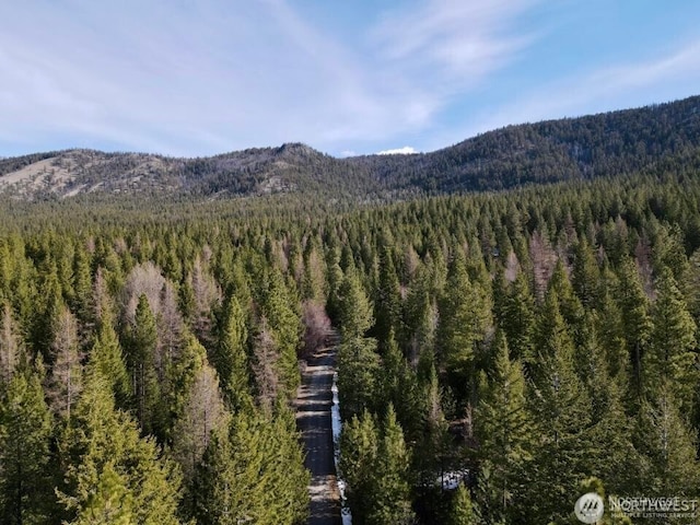 6 Lone Pine Trl, Riverside, WA 98849 - view of mountain background with a forest