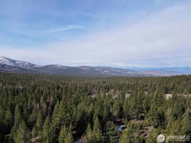 6 Lone Pine Trl, Riverside, WA 98849 - mountain view featuring a heavily wooded area