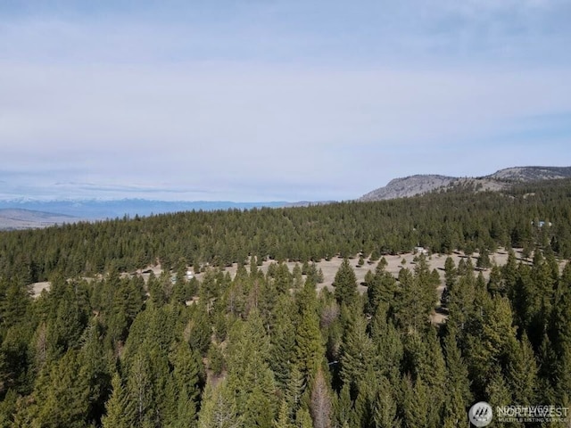 6 Lone Pine Trl, Riverside, WA 98849 - view of mountain background featuring a heavily wooded area