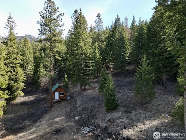 6 Lone Pine Trl, Riverside, WA 98849 - view of woods
