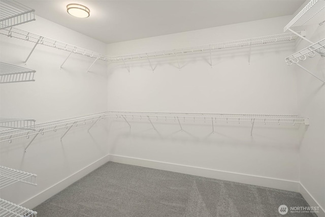 16432 SE 24th St, Bellevue, WA 98008 - walk in closet with carpet