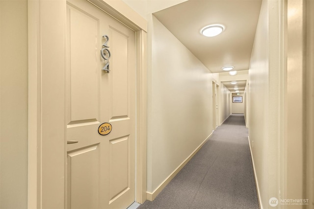 842 Washington St Unit 204, Port Townsend, WA 98368 - hallway featuring baseboards and carpet floors