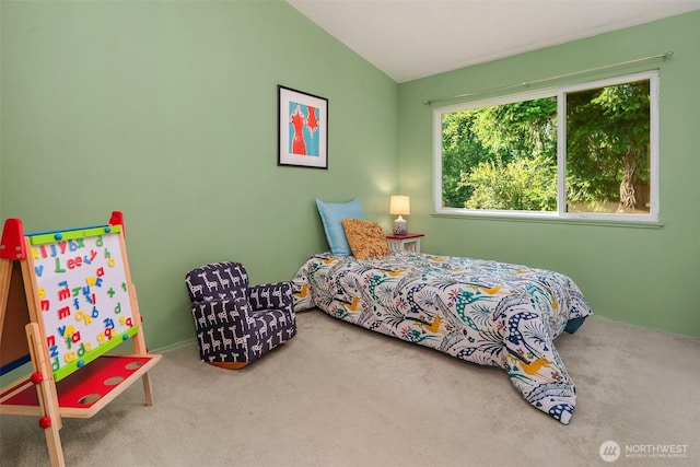 9922 SW 206th Ct, Vashon, WA 98070 - bedroom featuring carpet floors and lofted ceiling