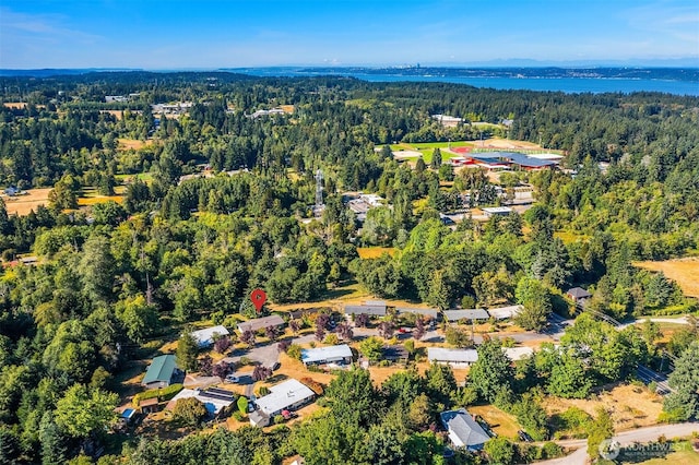 9922 SW 206th Ct, Vashon, WA 98070 - aerial view of property's location featuring a forest and a nearby body of water