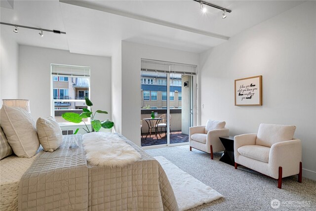 7800 SE 27th St Unit 302, Mercer Island, WA 98040 - bedroom featuring track lighting, carpet flooring, and access to outside
