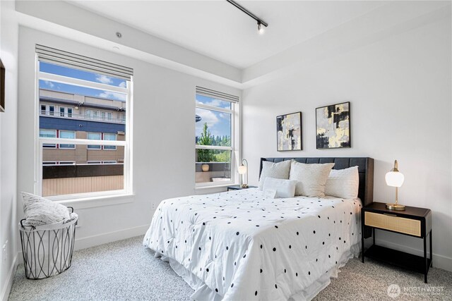 7800 SE 27th St Unit 302, Mercer Island, WA 98040 - bedroom with carpet floors and rail lighting