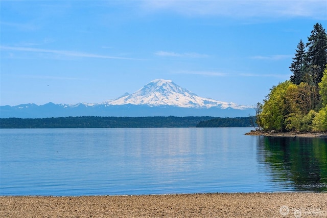 8723 SW Gorsuch Rd, Vashon, WA 98070 - photo 2