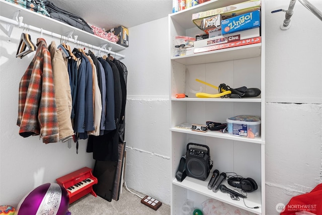 6511 Canyon Ct SW, Olympia, WA 98512 - spacious closet featuring carpet flooring