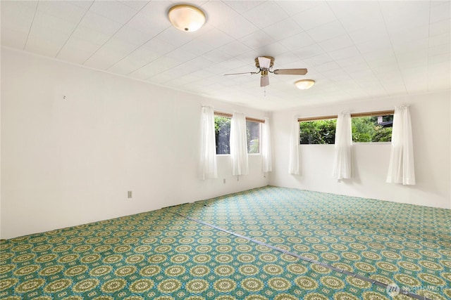 12575 SE 52nd St, Bellevue, WA 98006 - photo 28
