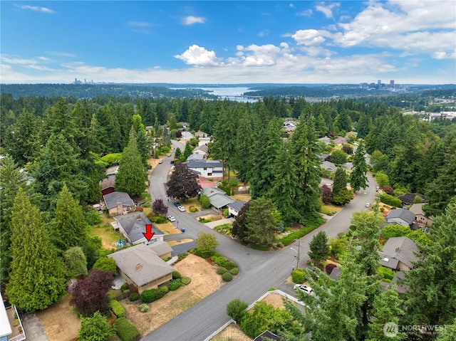 12575 SE 52nd St, Bellevue, WA 98006 - photo 37