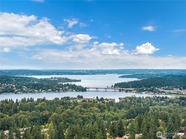 12575 SE 52nd St, Bellevue, WA 98006 - photo 39