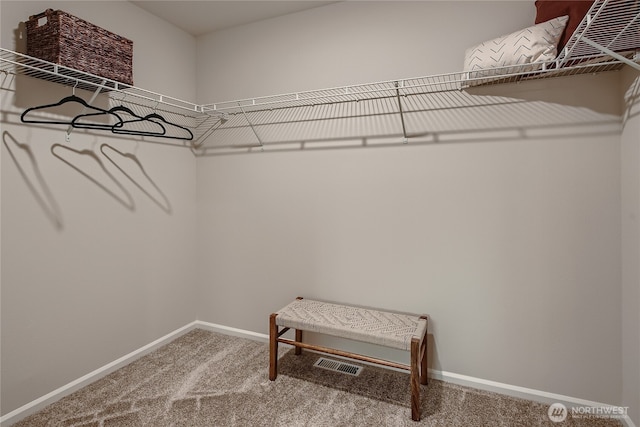 14029 195th Street Ct E, Graham, WA 98338 - spacious closet with carpet