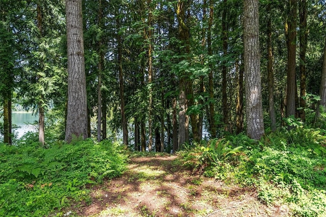 304 Winston Creek Rd Unit B10L3, Mossyrock, WA 98564