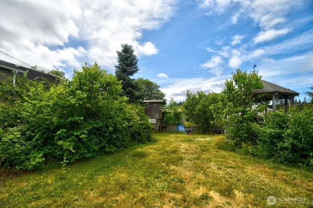 139 Mcarthur St S, Tenino, WA 98589 - photo 33