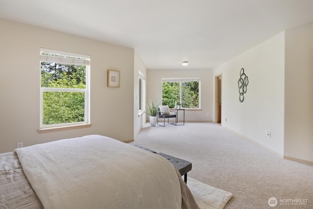 33036 42nd Ave S, Federal Way, WA 98001 - carpeted bedroom with baseboards