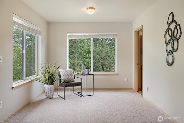 33036 42nd Ave S, Federal Way, WA 98001 - living area with healthy amount of natural light and carpet flooring