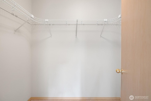33036 42nd Ave S, Federal Way, WA 98001 - view of spacious closet