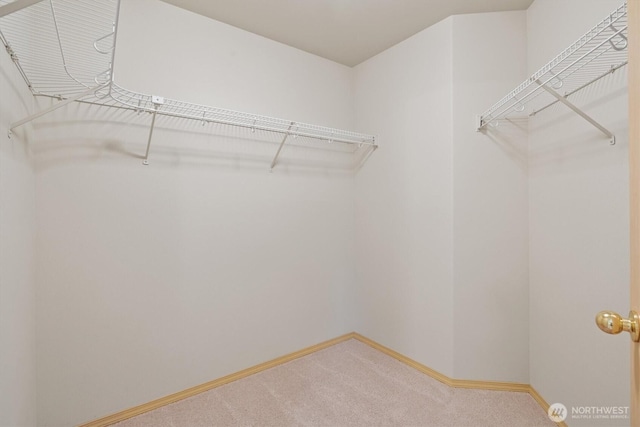 33036 42nd Ave S, Federal Way, WA 98001 - spacious closet with carpet