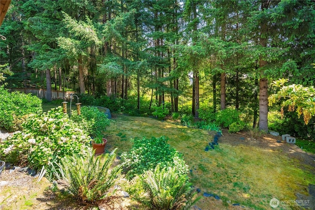 14511 46th Avenue Ct NW, Gig Harbor, WA 98332 - photo 34