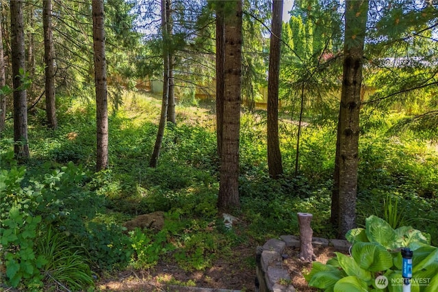 14511 46th Avenue Ct NW, Gig Harbor, WA 98332 - photo 36
