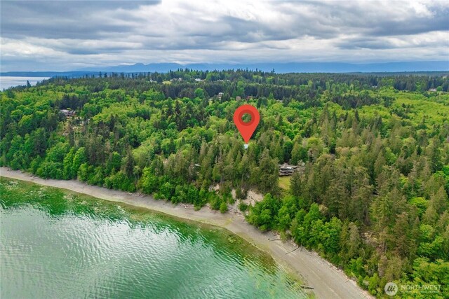36 Seven Sisters Rd, Port Ludlow, WA 98365 - drone / aerial view of a nearby body of water
