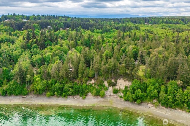 36 Seven Sisters Rd, Port Ludlow, WA 98365 - aerial overview of property's location featuring a forest and a large body of water