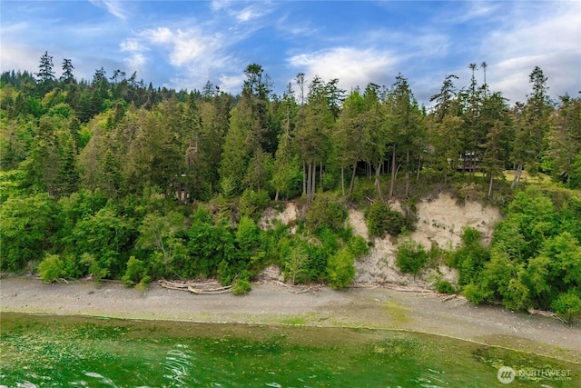 36 Seven Sisters Rd, Port Ludlow, WA 98365 - view of undeveloped land