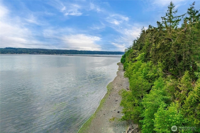 36 Seven Sisters Rd, Port Ludlow, WA 98365 - water view