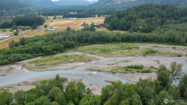 6373 Eastwood Rd, Deming, WA 98244 - bird's eye view of a heavily wooded area and mountains