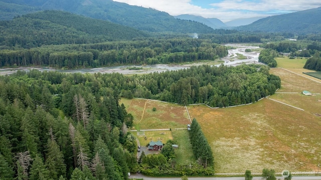 6373 Eastwood Rd, Deming, WA 98244 - bird's eye view of a heavily wooded area and a mountainous background