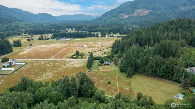 6373 Eastwood Rd, Deming, WA 98244 - view of property location with a mountain backdrop and rural landscape