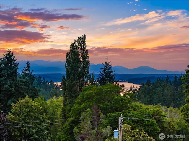 11665 NE Sunset Loop, Bainbridge Island, WA 98110 - view of mountain background with a forest