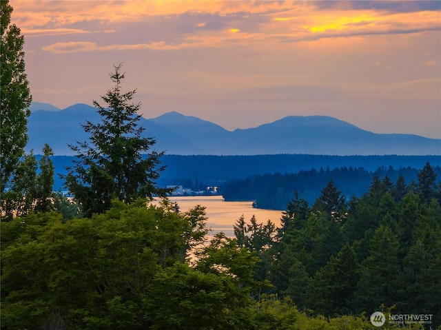 11665 NE Sunset Loop, Bainbridge Island, WA 98110 - view of mountain backdrop with a heavily wooded area