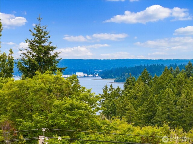 11665 NE Sunset Loop, Bainbridge Island, WA 98110 - water view with a forest