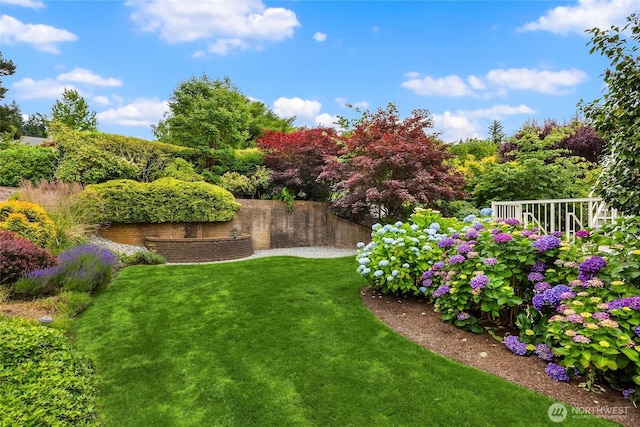 11665 NE Sunset Loop, Bainbridge Island, WA 98110 - view of green lawn