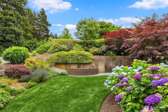 11665 NE Sunset Loop, Bainbridge Island, WA 98110 - view of grassy yard