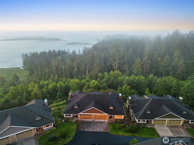 3224 Overlook Loop, Ilwaco, WA 98624 - bird's eye view of a forest