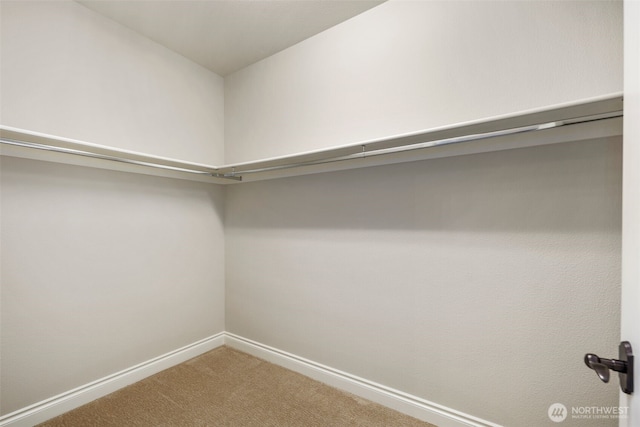 3224 Overlook Loop, Ilwaco, WA 98624 - walk in closet with carpet flooring