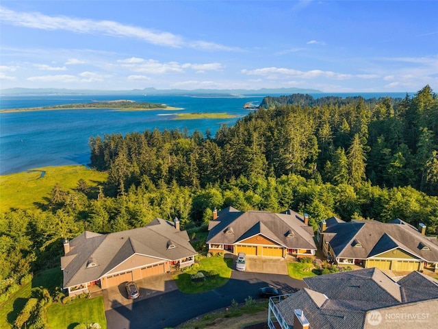3224 Overlook Loop, Ilwaco, WA 98624 - aerial view of a large body of water and a forest