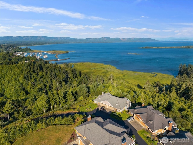 3224 Overlook Loop, Ilwaco, WA 98624 - drone / aerial view of a water and mountain view and a heavily wooded area